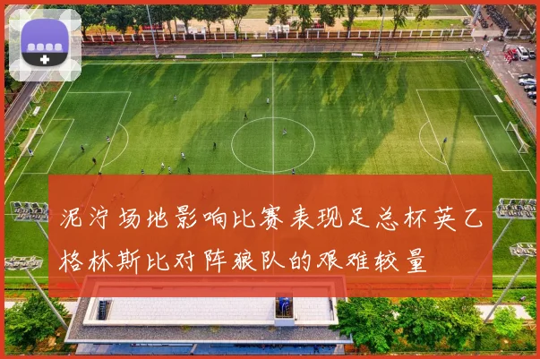 泥泞场地影响比赛表现足总杯英乙格林斯比对阵狼队的艰难较量